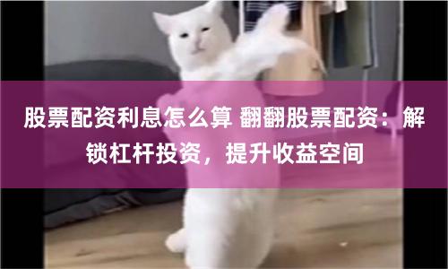 杠杆游戏还是财富陷阱？——一位配资老手的自白与行业真相